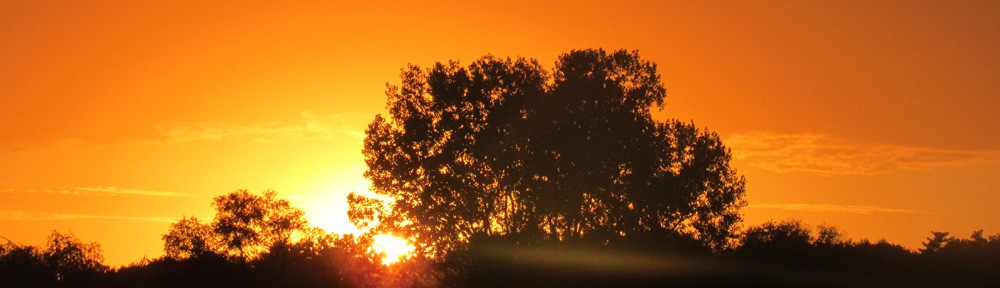 Nebraskan Politics Landscape with trees and orange sun and tones